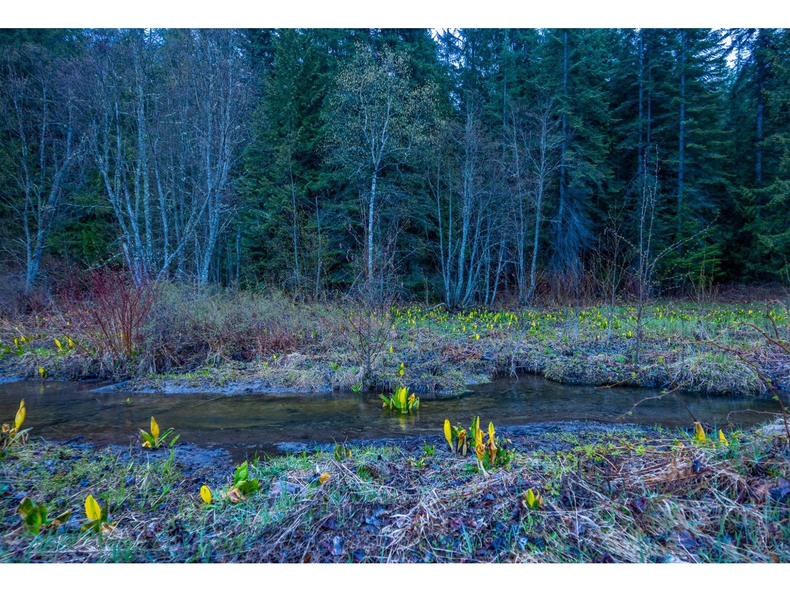 For sale 1097 LAKEVIEW ARROW CREEK ROAD, Creston, British Columbia