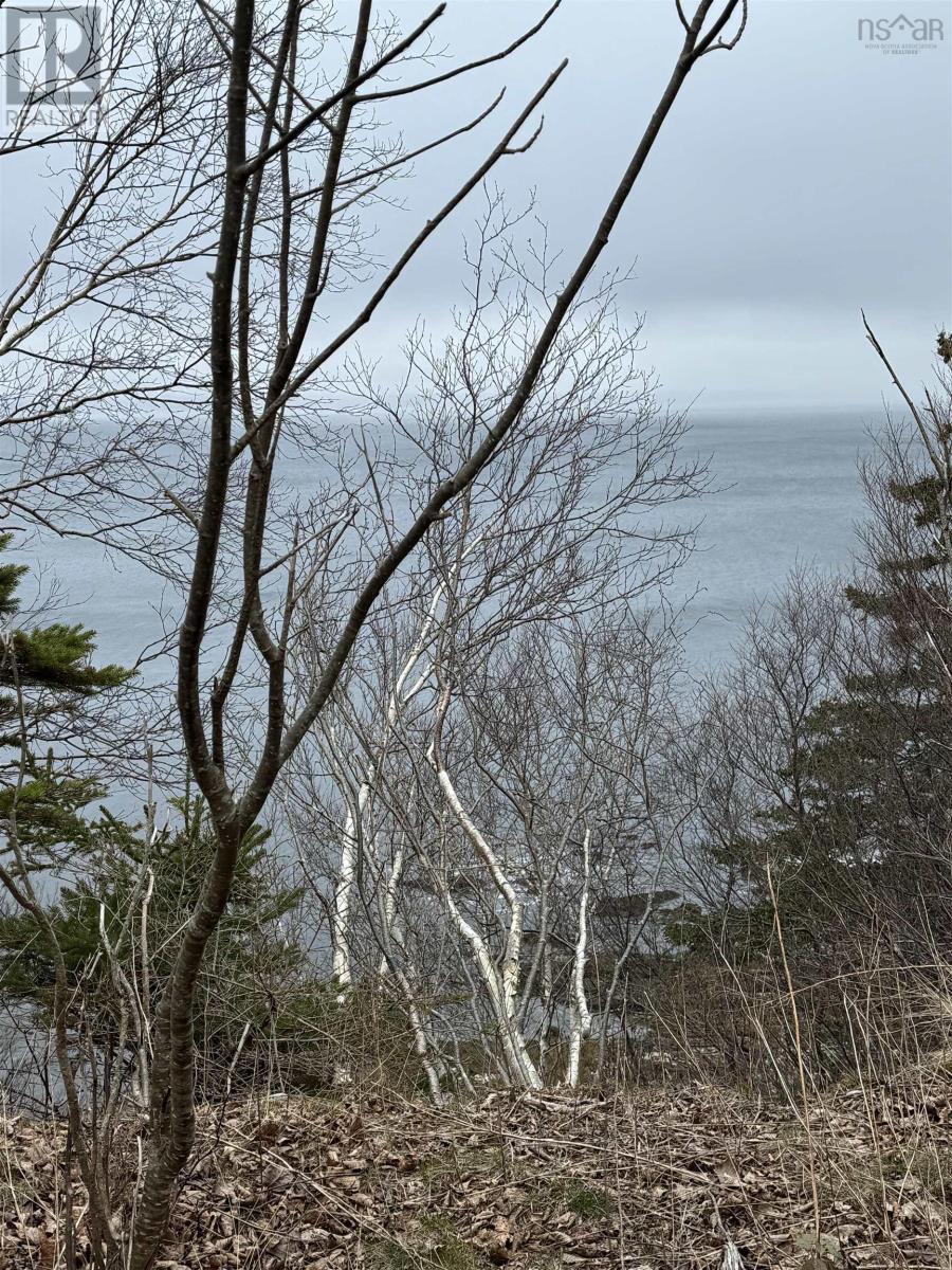 For sale 0 Highway 16, Peas Brook, Nova Scotia B0H1N0 202408550