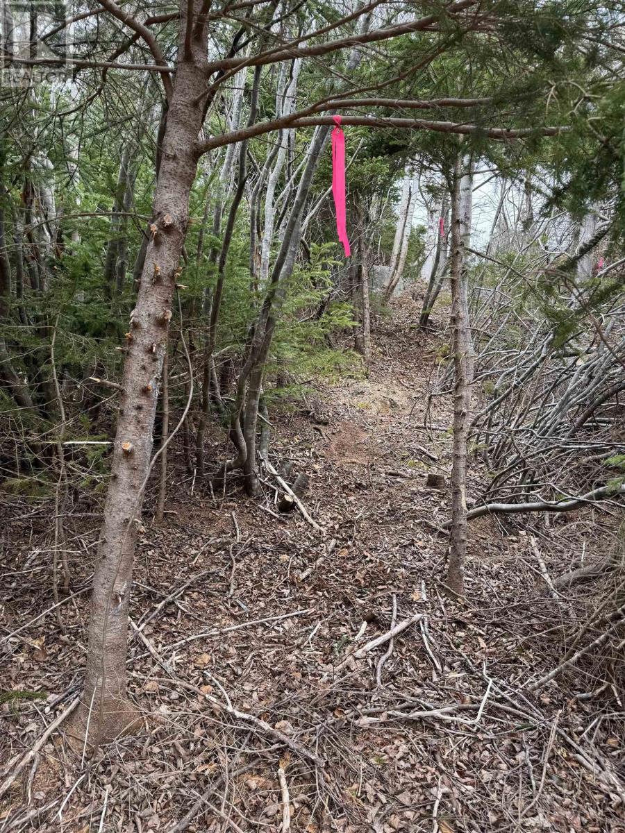 For sale 0 Highway 16, Peas Brook, Nova Scotia B0H1N0 202408550