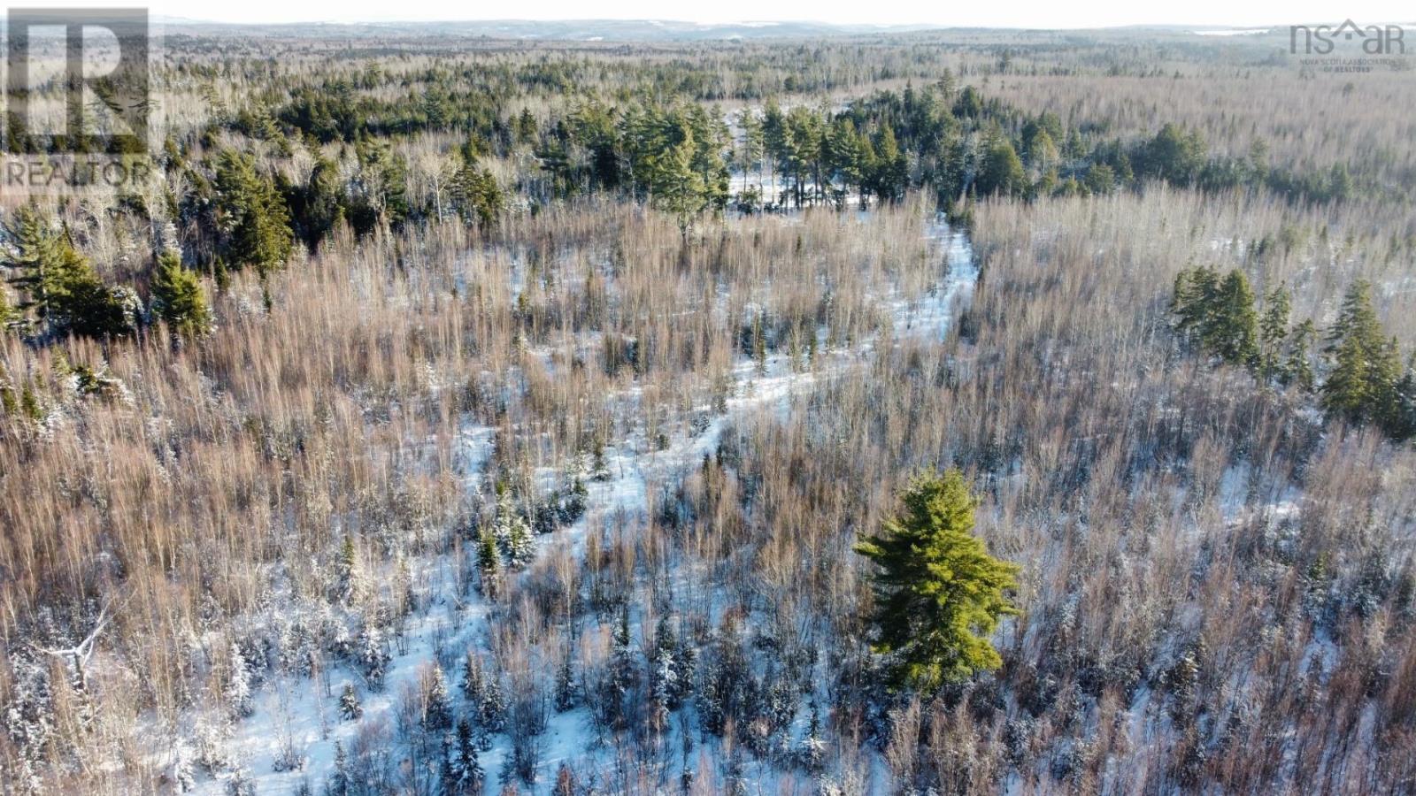 For sale V/L 321 Highway, River Philip, Nova Scotia B0M1X0 202402271