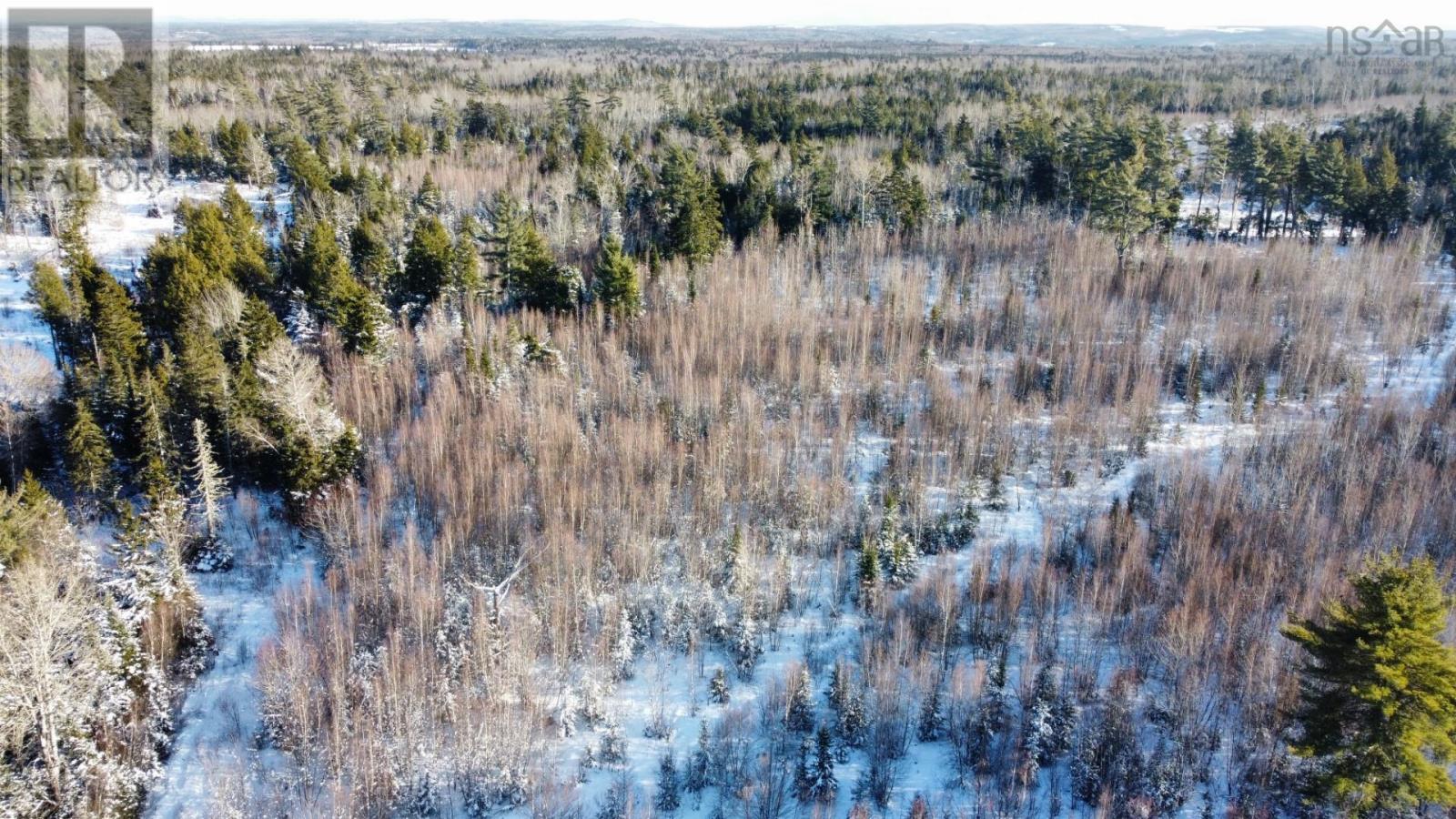 For sale V/L 321 Highway, River Philip, Nova Scotia B0M1X0 202402271