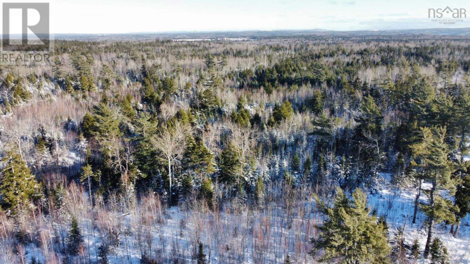 For sale V/L 321 Highway, River Philip, Nova Scotia B0M1X0 202402271