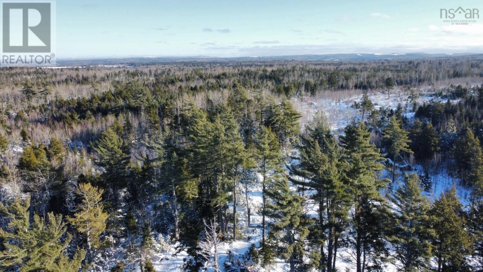 For sale V/L 321 Highway, River Philip, Nova Scotia B0M1X0 202402271