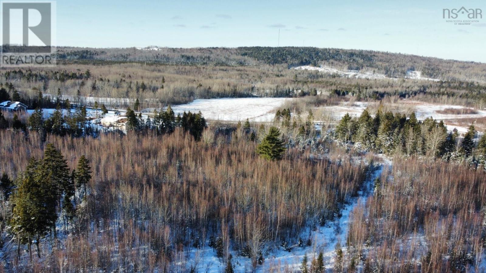 For sale V/L 321 Highway, River Philip, Nova Scotia B0M1X0 202402271