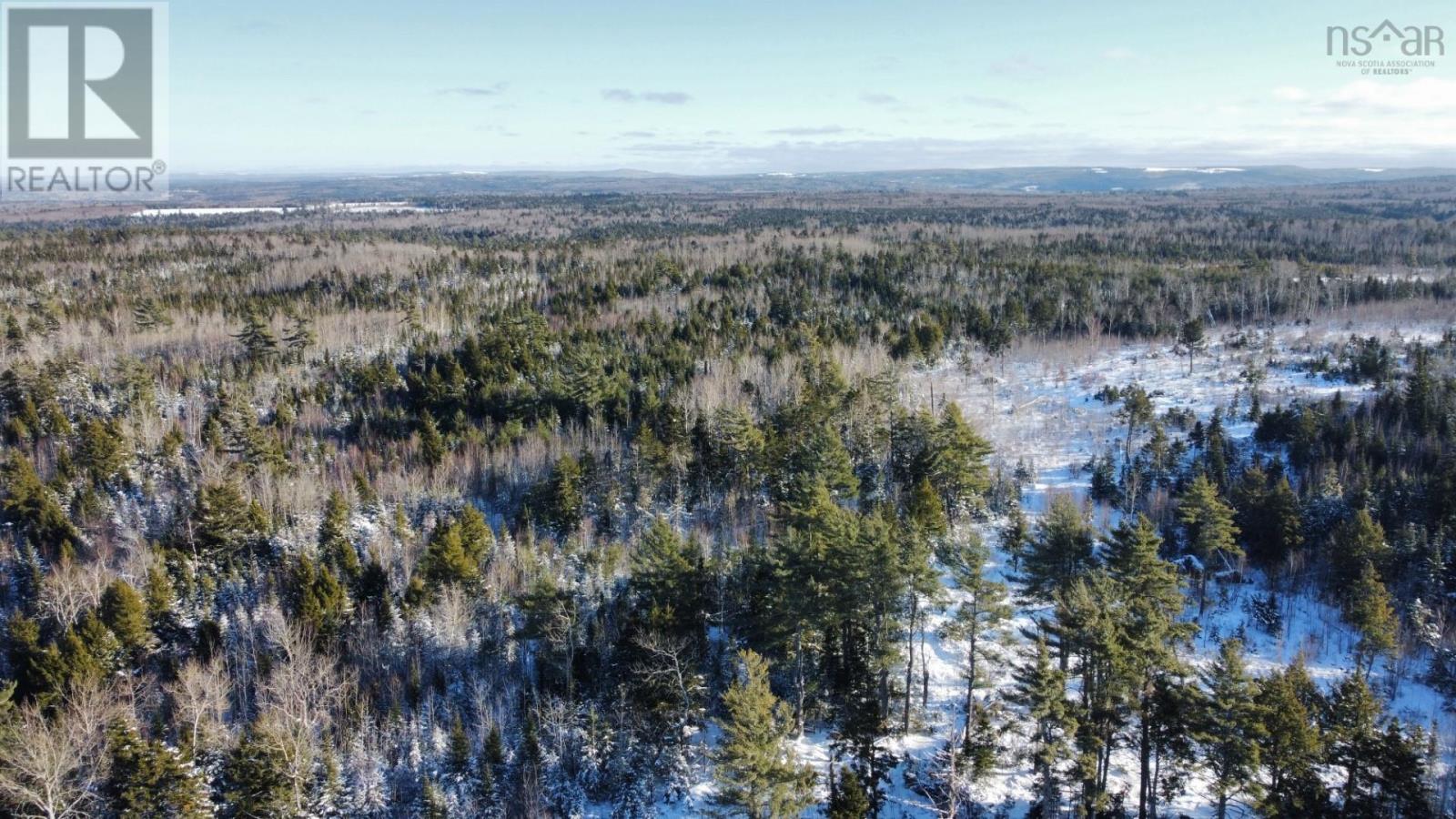 For sale V/L 321 Highway, River Philip, Nova Scotia B0M1X0 202402271