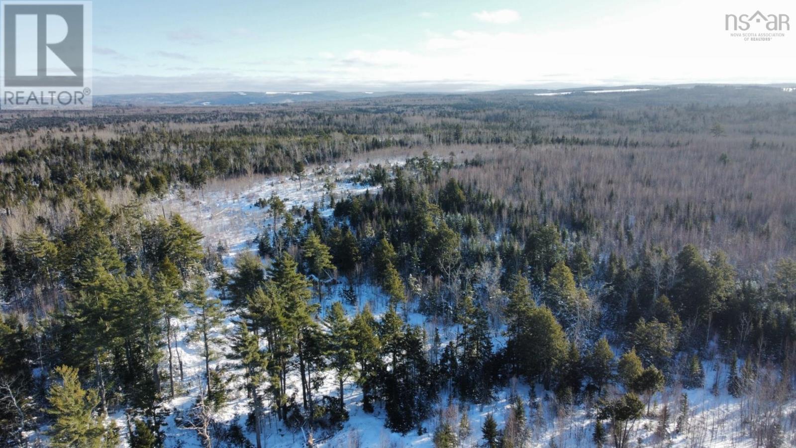 For sale V/L 321 Highway, River Philip, Nova Scotia B0M1X0 202402271