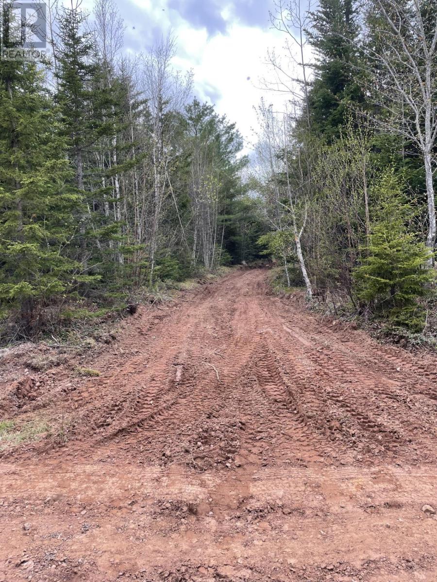 For sale V/L 321 Highway, River Philip, Nova Scotia B0M1X0 202402271