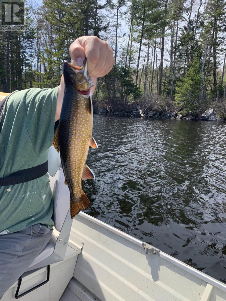 For sale Lot Walburne Road, Newburne, Nova Scotia B0J2E0 202408813