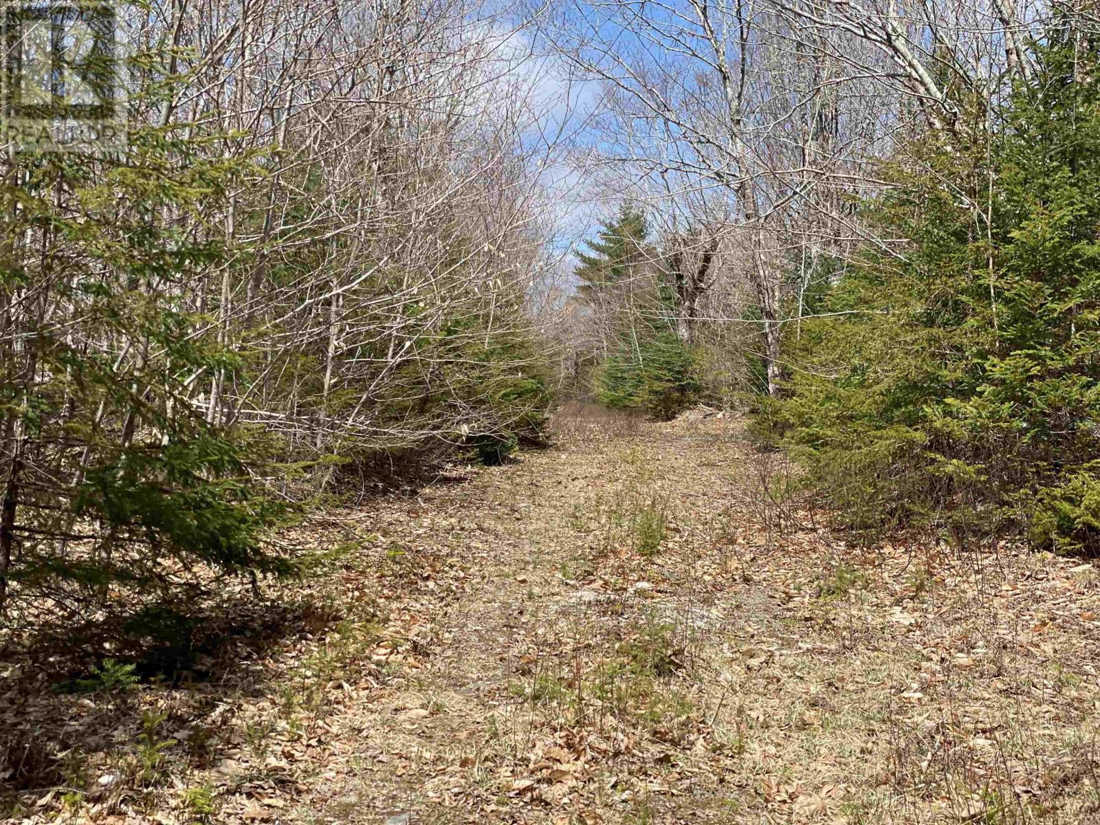 For sale Lot Walburne Road, Newburne, Nova Scotia B0J2E0 202408813