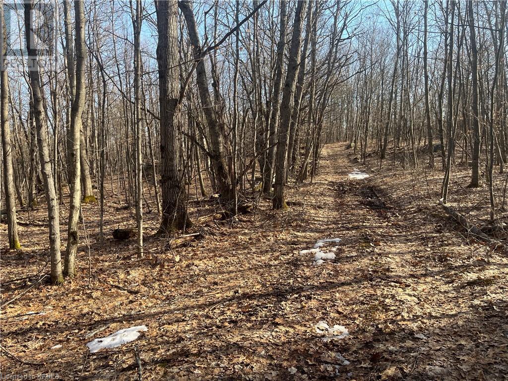For sale PT LOT 15 SLATE FALLS Road, Denbigh, Ontario K0H1L0