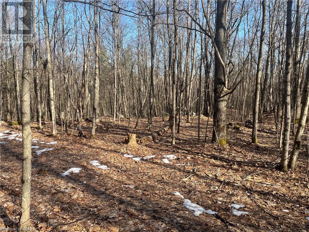 For sale PT LOT 15 SLATE FALLS Road, Denbigh, Ontario K0H1L0
