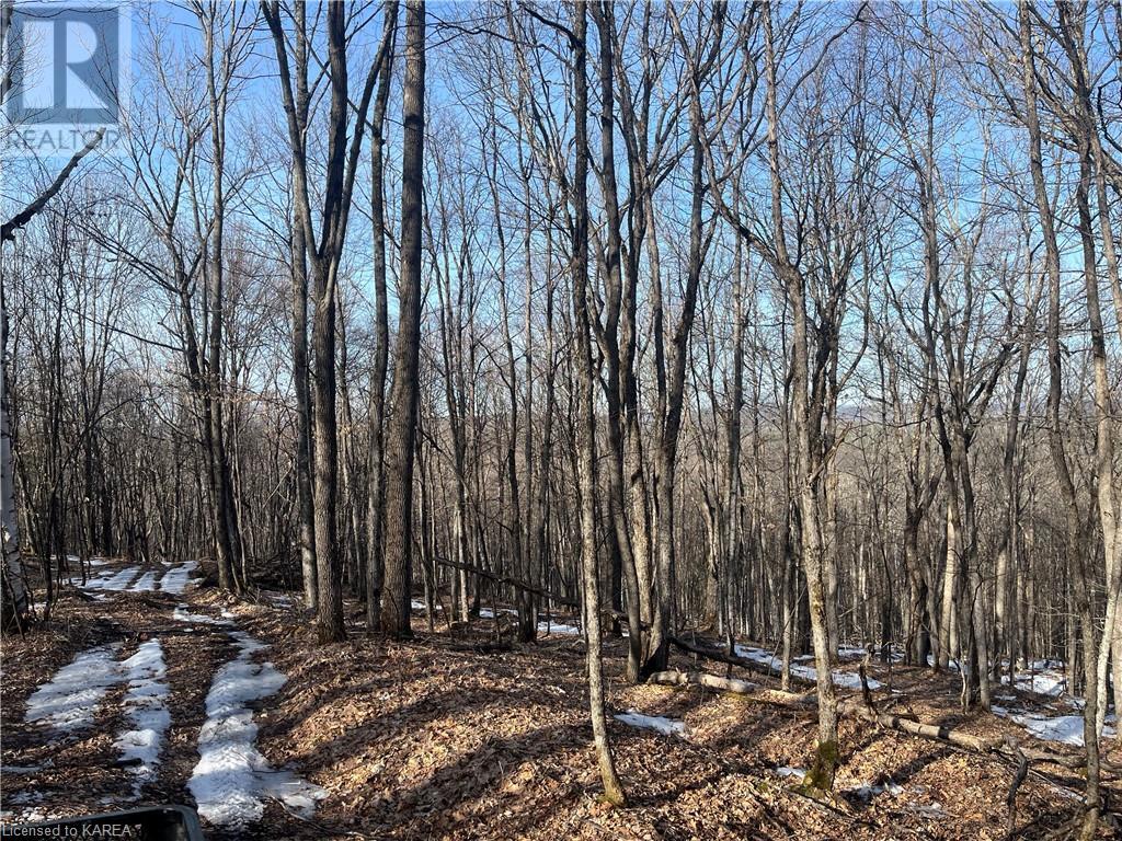 For sale PT LOT 15 SLATE FALLS Road, Denbigh, Ontario K0H1L0