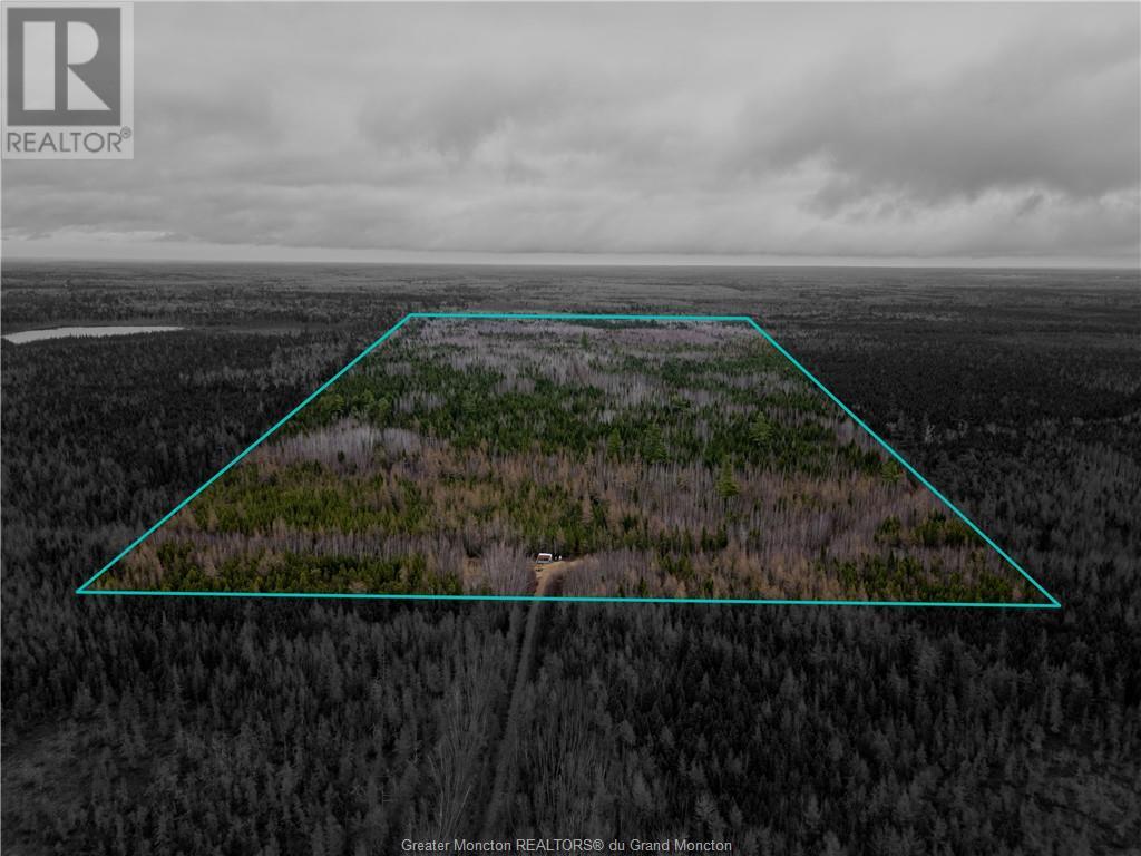 For sale Lot Route 126, Adamsville, New Brunswick E4T2G1 M158843