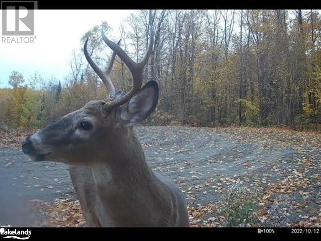 For sale 1199 CEDAR LAKE Road, Wilberforce, Ontario K0L3C0 40583222