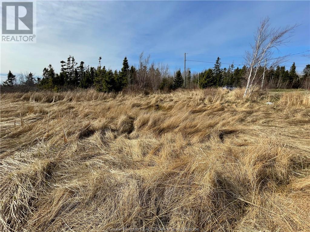 For sale Lots CH DE L'ILE RD, Petit Cap, New Brunswick E4N2G6