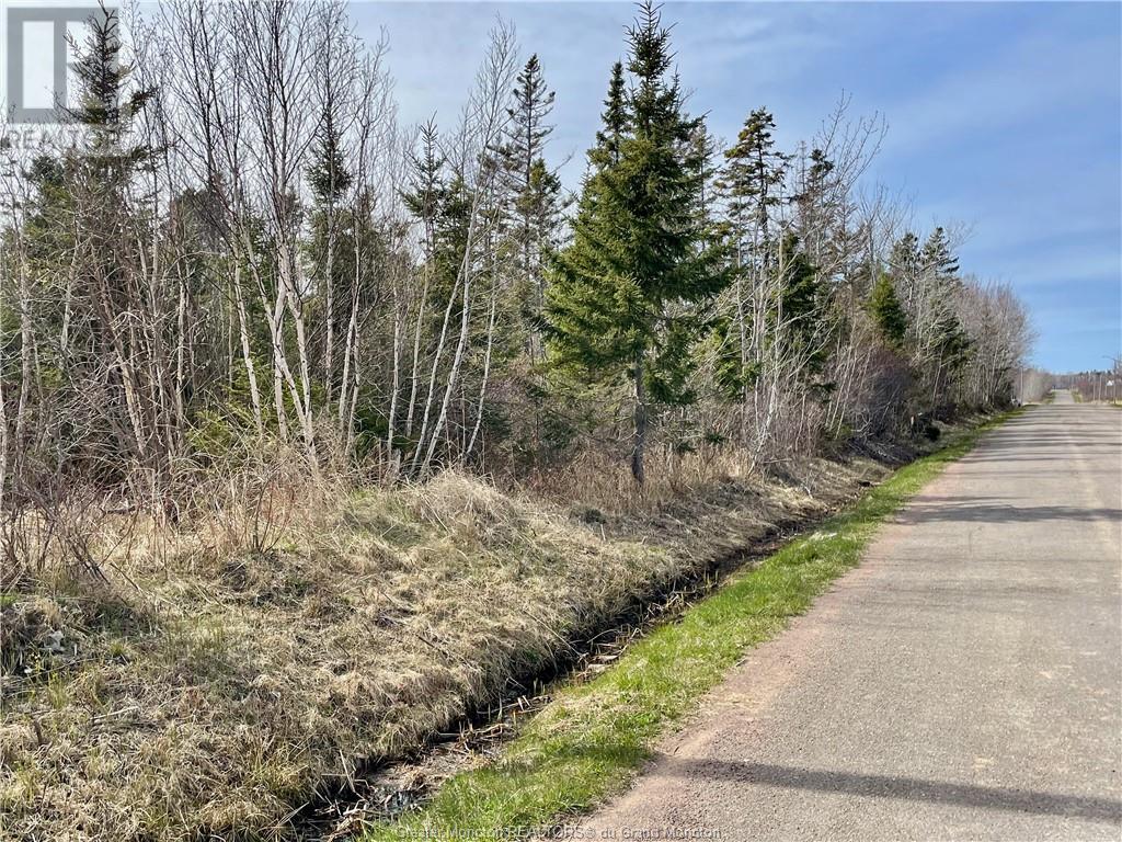 For sale Lots CH DE L'ILE RD, Petit Cap, New Brunswick E4N2G6