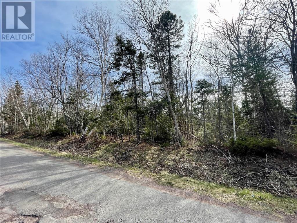 For sale Lots CH DE L'ILE RD, Petit Cap, New Brunswick E4N2G6