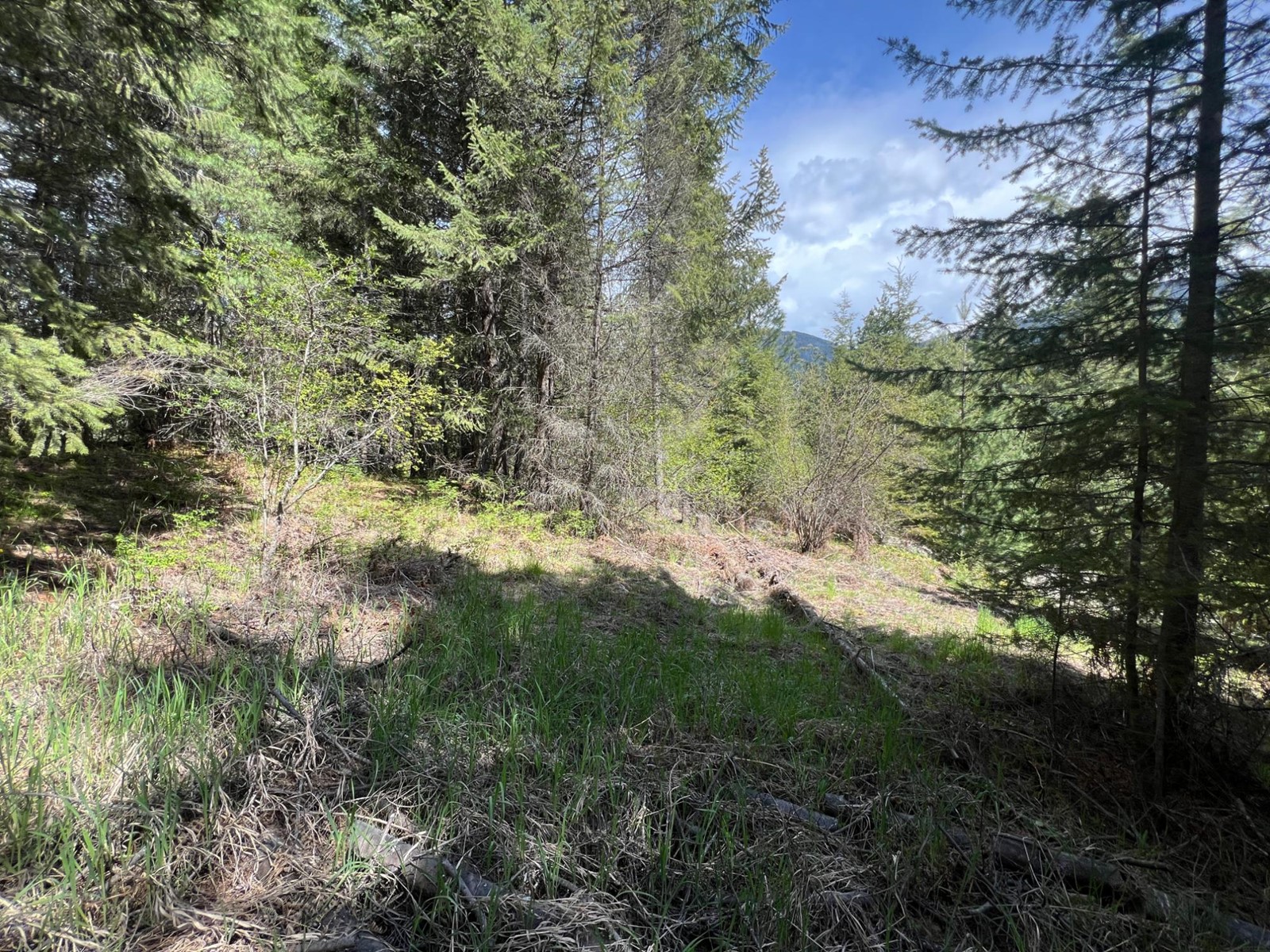 For sale Lot 2 LOIS LANE, Winlaw, British Columbia V0G2J0 2476678