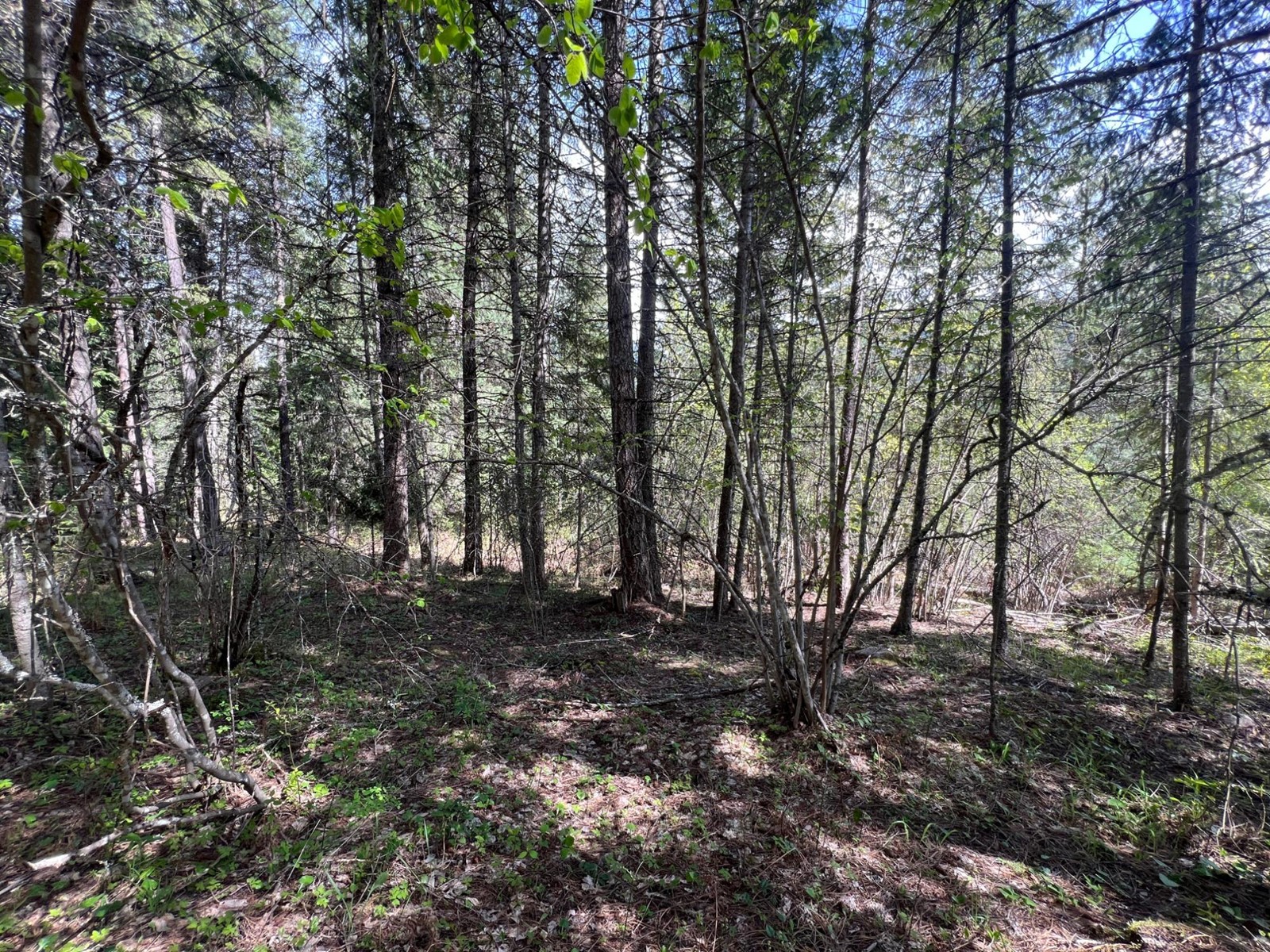 For sale Lot 2 LOIS LANE, Winlaw, British Columbia V0G2J0 2476678
