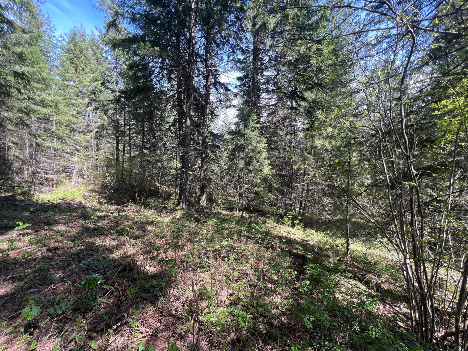 For sale Lot 2 LOIS LANE, Winlaw, British Columbia V0G2J0 2476678