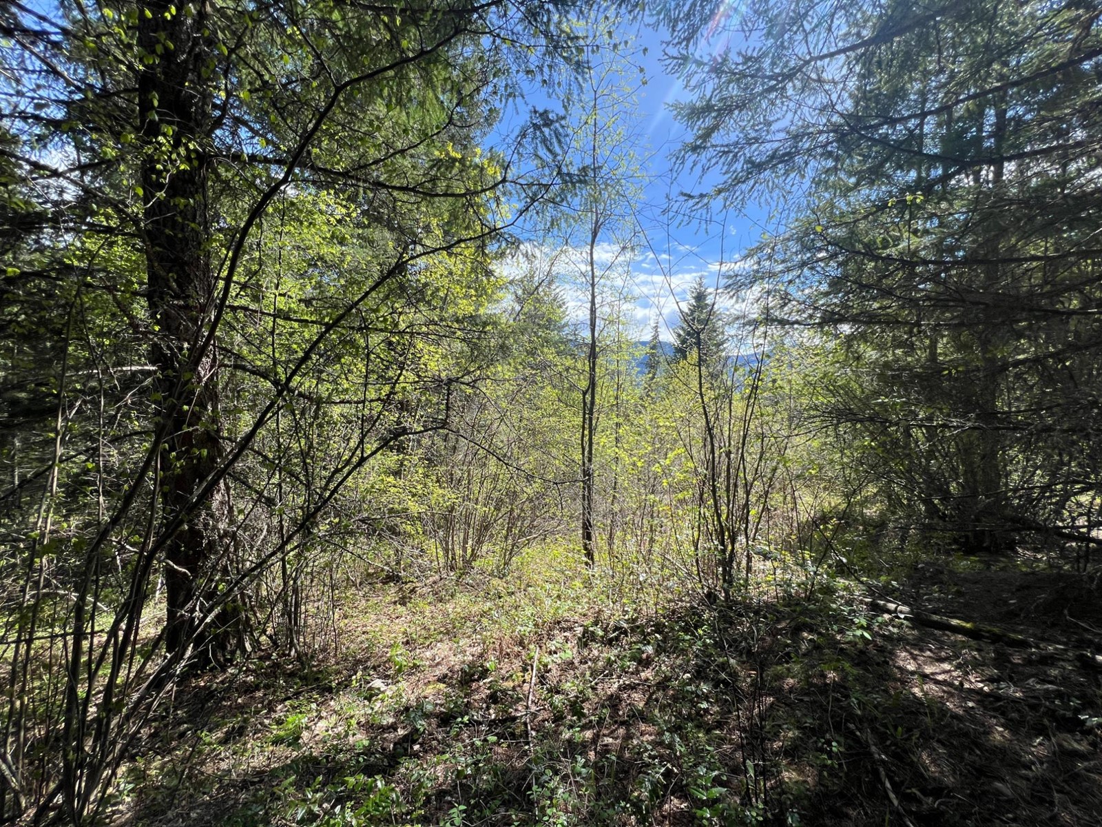 For sale Lot 2 LOIS LANE, Winlaw, British Columbia V0G2J0 2476678