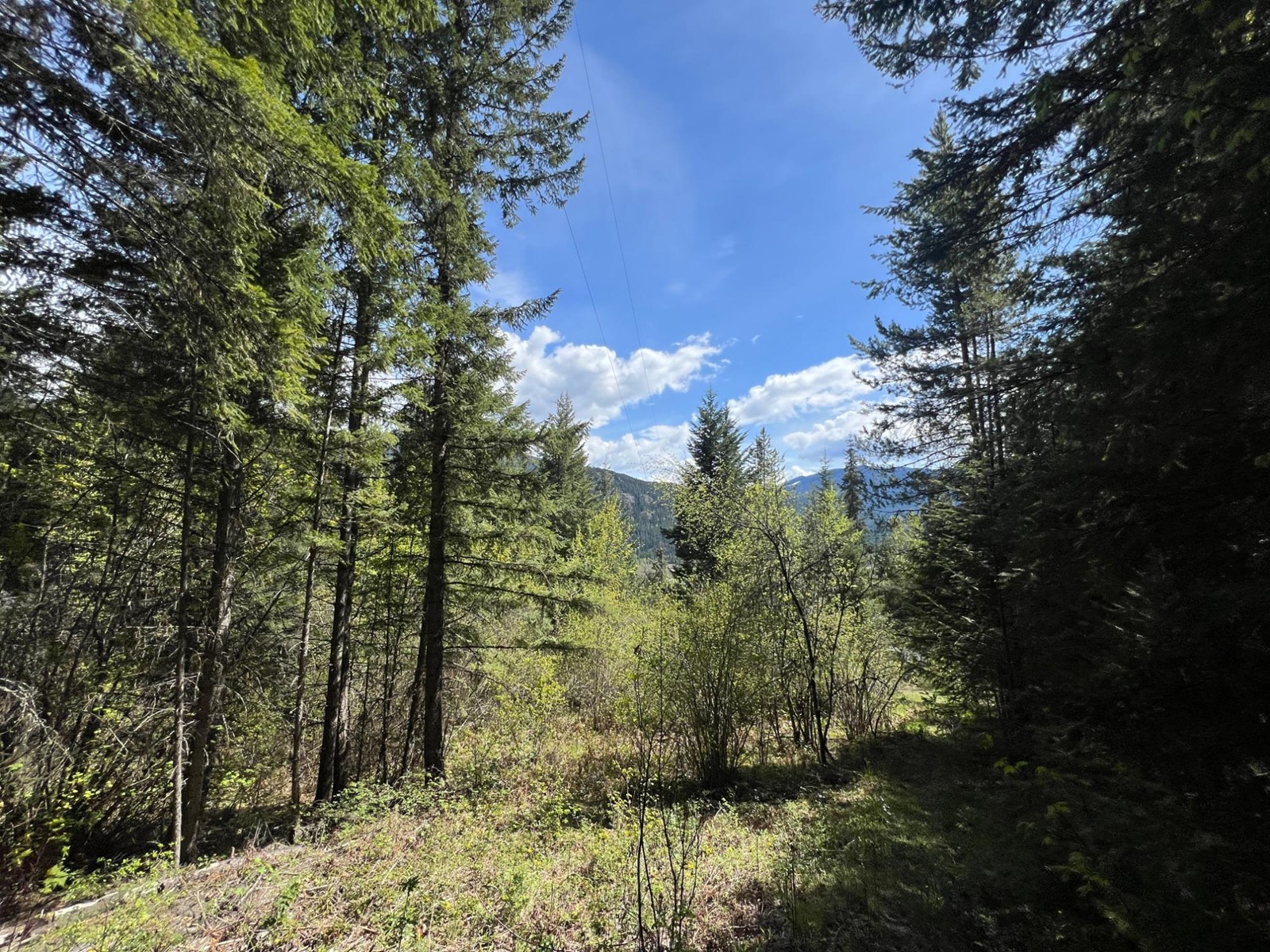 For sale Lot 2 LOIS LANE, Winlaw, British Columbia V0G2J0 2476678