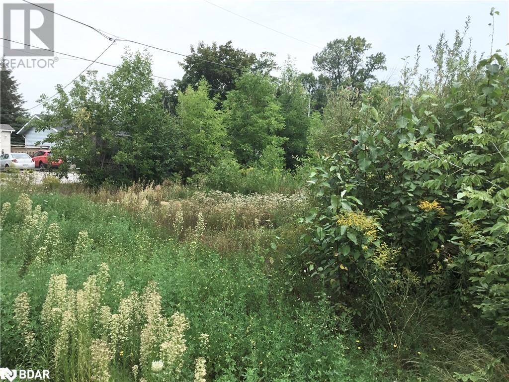 For sale 73 KING Street E, Omemee, Ontario K0L2W0 40585127 REALTOR.ca