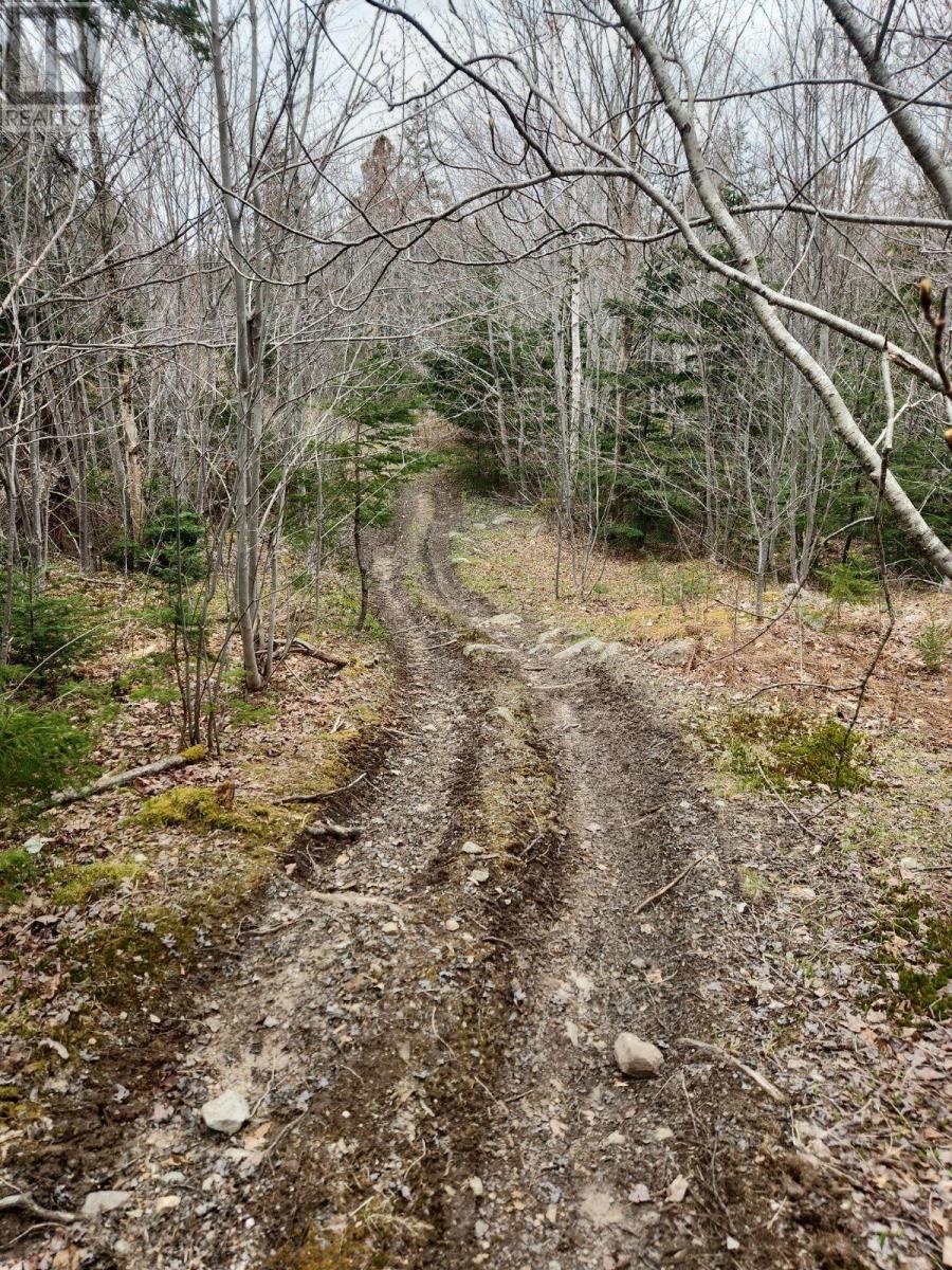 For sale Upper Brian Street, East Preston, Nova Scotia B2W3N3