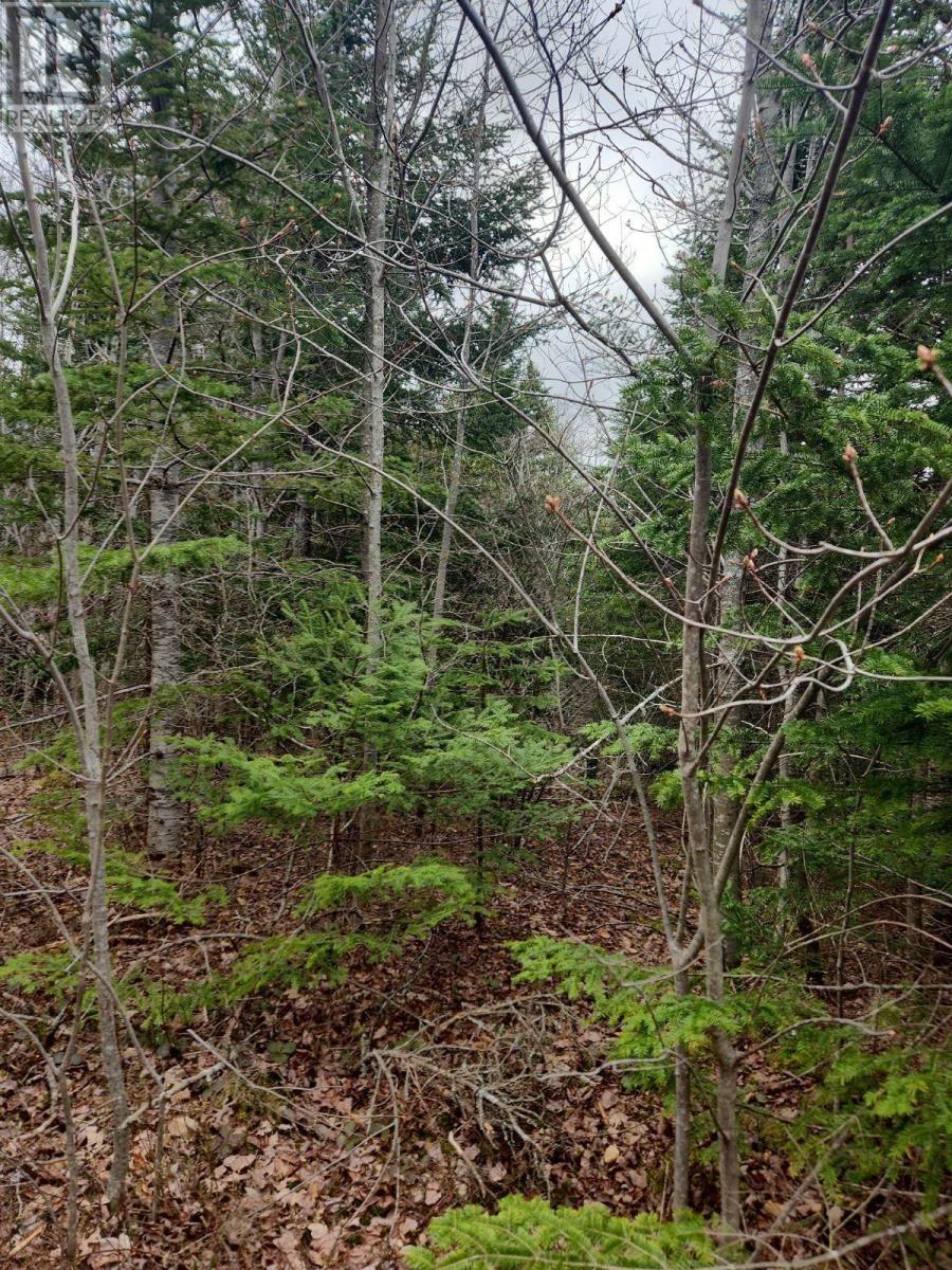 For sale Upper Brian Street, East Preston, Nova Scotia B2W3N3