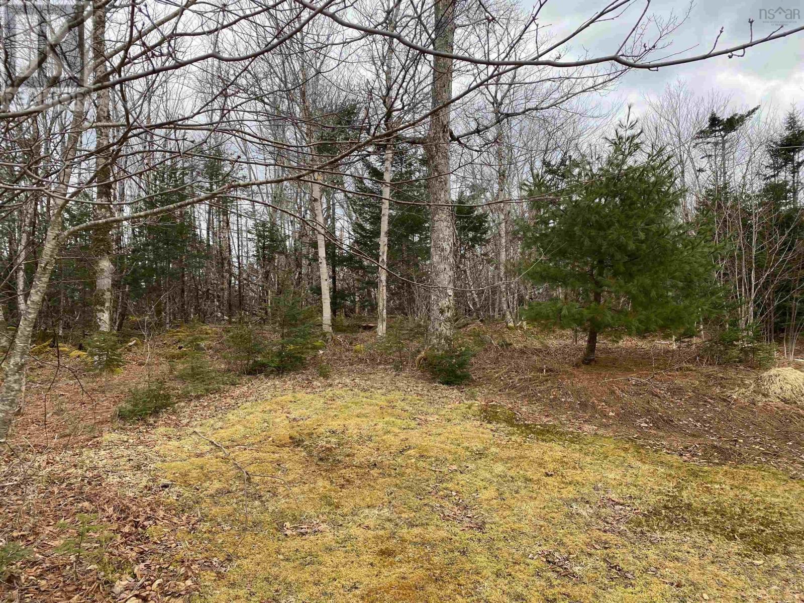 1591 Mooseland Road, Jacket Lake, Nova Scotia B0J2J0 REALTOR.ca