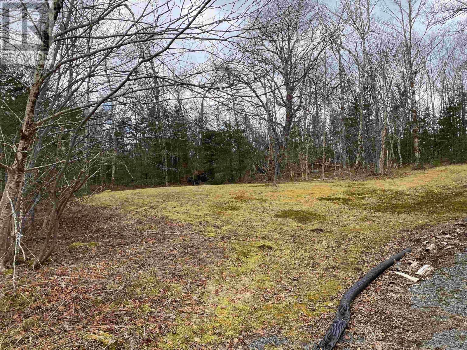 1591 Mooseland Road, Jacket Lake, Nova Scotia B0J2J0 REALTOR.ca