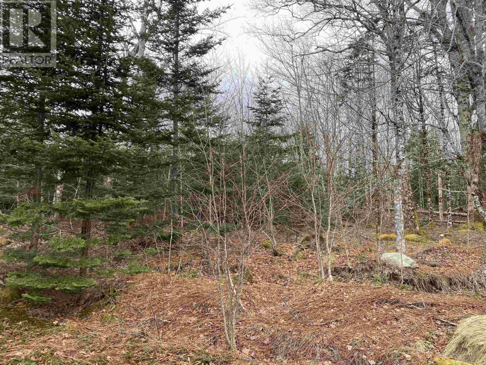 1591 Mooseland Road, Jacket Lake, Nova Scotia B0J2J0 REALTOR.ca