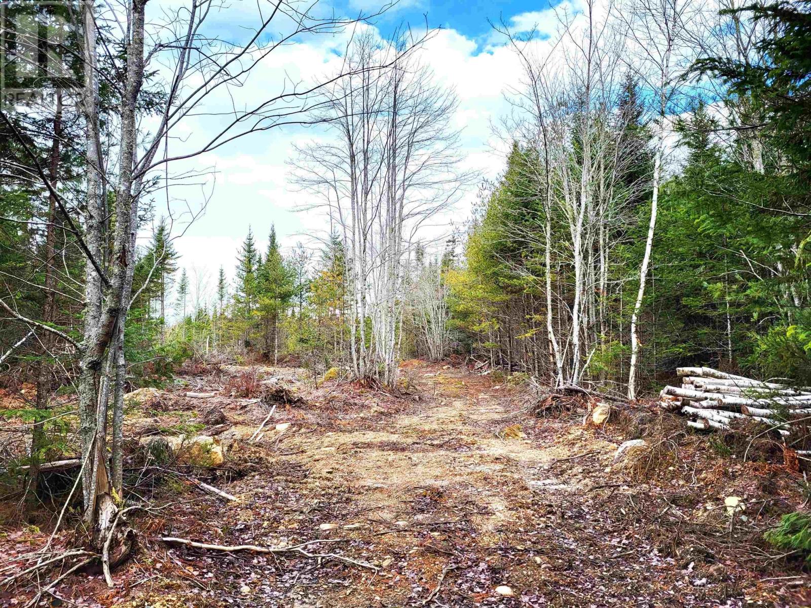 For sale: Lot Silver Road, Nineveh, Nova Scotia B0R1E0 - 202402328 ...