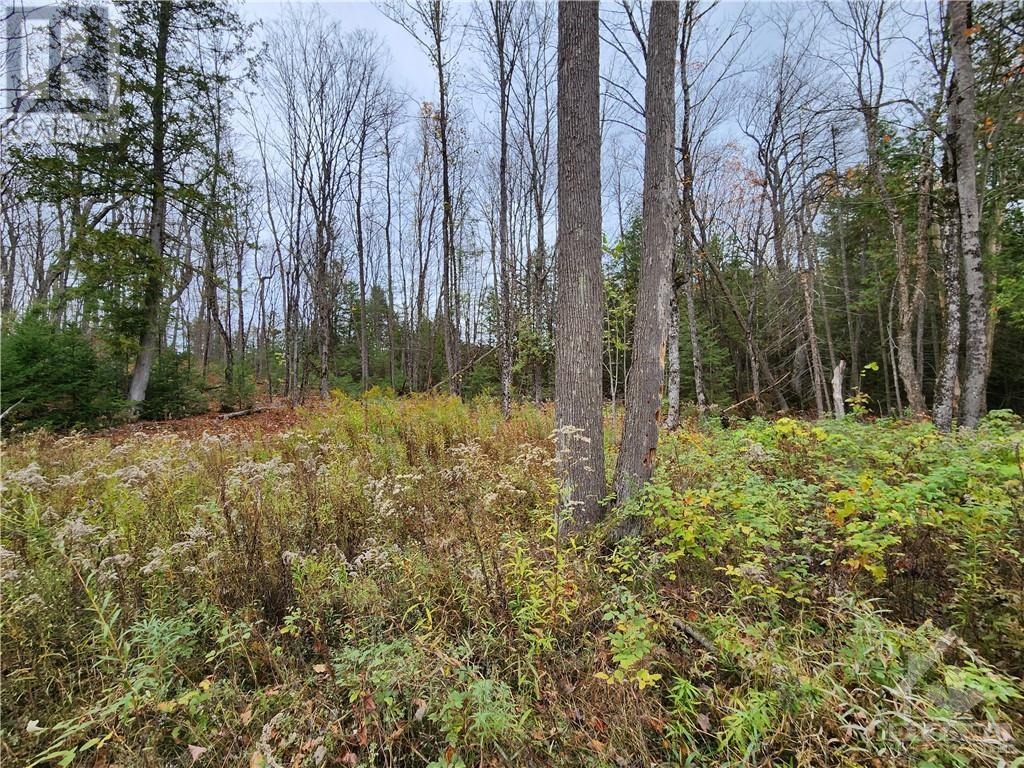 For sale 1140 SWAUGERS CREEK LANE, Ardoch, Ontario K0H1C0 1390576