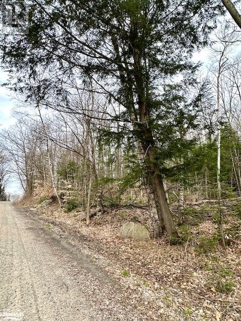 For sale 0 DWIGHT BEACH Road, Dwight, Ontario P0A1H0 40570944