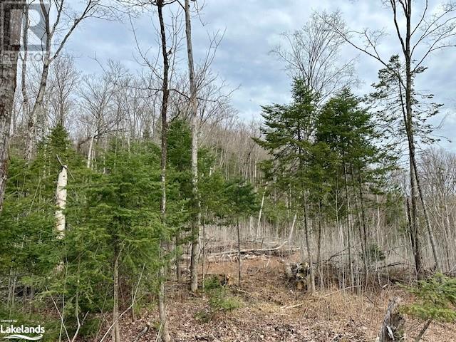 For sale 0 DWIGHT BEACH Road, Dwight, Ontario P0A1H0 40570944