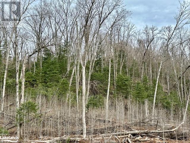 For sale 0 DWIGHT BEACH Road, Dwight, Ontario P0A1H0 40570944