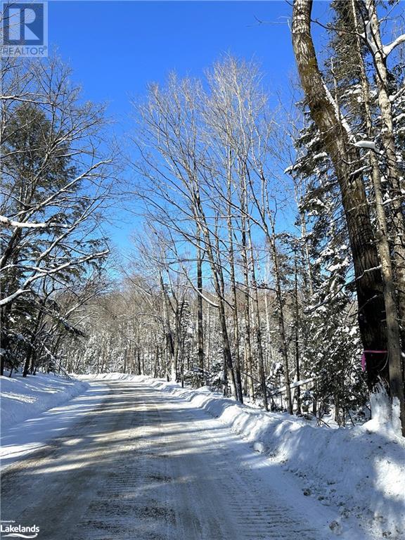 For sale 0 DWIGHT BEACH Road, Dwight, Ontario P0A1H0 40570944