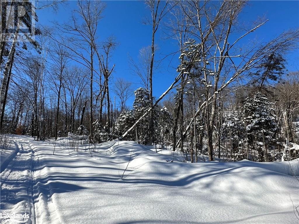 For sale 0 DWIGHT BEACH Road, Dwight, Ontario P0A1H0 40570944