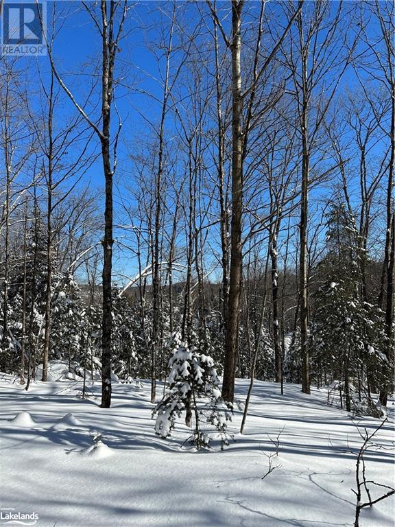 For sale 0 DWIGHT BEACH Road, Dwight, Ontario P0A1H0 40570944