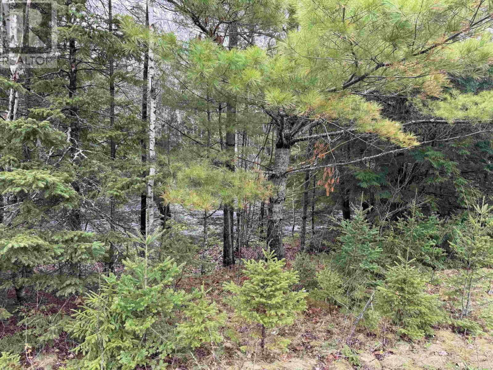 For sale Lot 5 Highway 10, New Germany, Nova Scotia B0R1E0 202410051