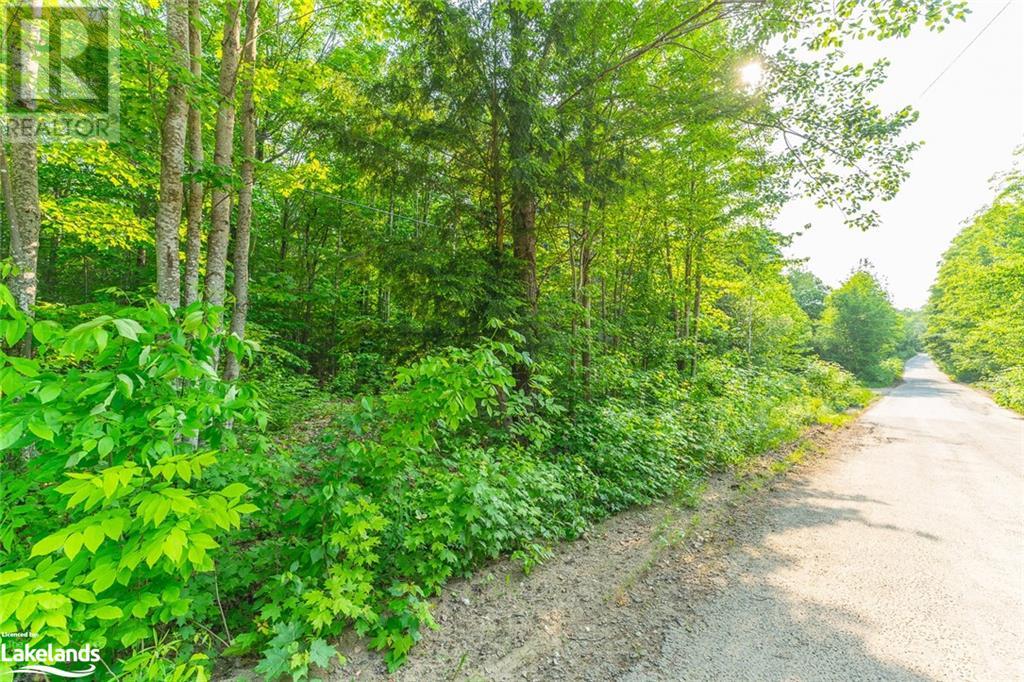For sale LOT 17 MINK Road, Haliburton, Ontario K0M1S0 40587092