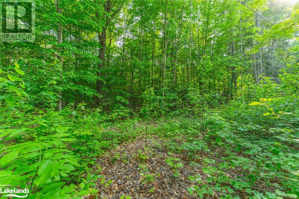 For sale LOT 17 MINK Road, Haliburton, Ontario K0M1S0 40587092