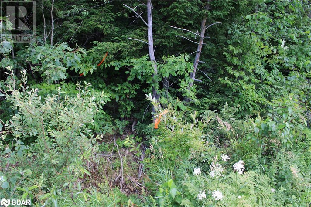 For sale 1101 DOE LAKE Road, Gravenhurst, Ontario P1P1R3 40584467