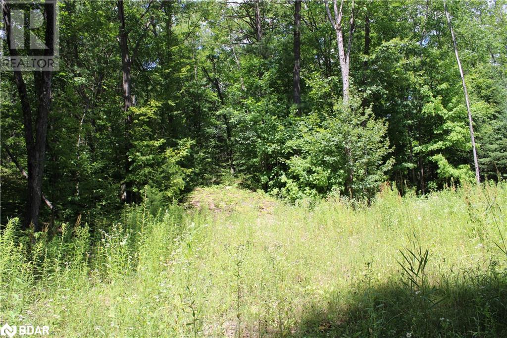 For sale 1101 DOE LAKE Road, Gravenhurst, Ontario P1P1R3 40584467