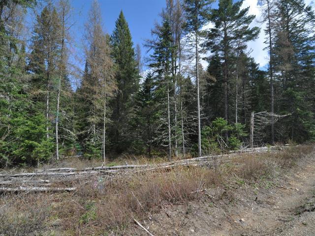 For sale Ch. du Caribou, LacSupérieur, Quebec J0T1J0 27976707