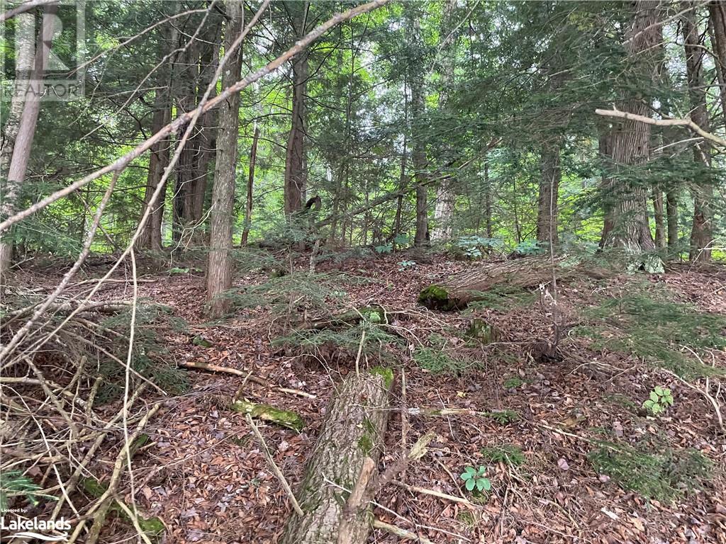 For sale 0 ISLAND LAKE, Kearney, Ontario P0A1M0 40588117 REALTOR.ca