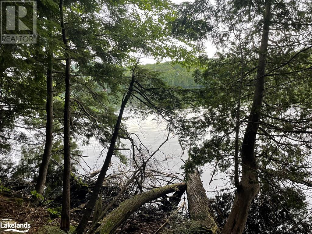 For sale 0 ISLAND LAKE, Kearney, Ontario P0A1M0 40588117 REALTOR.ca