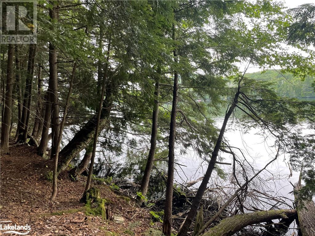 For sale 0 ISLAND LAKE, Kearney, Ontario P0A1M0 40588117 REALTOR.ca