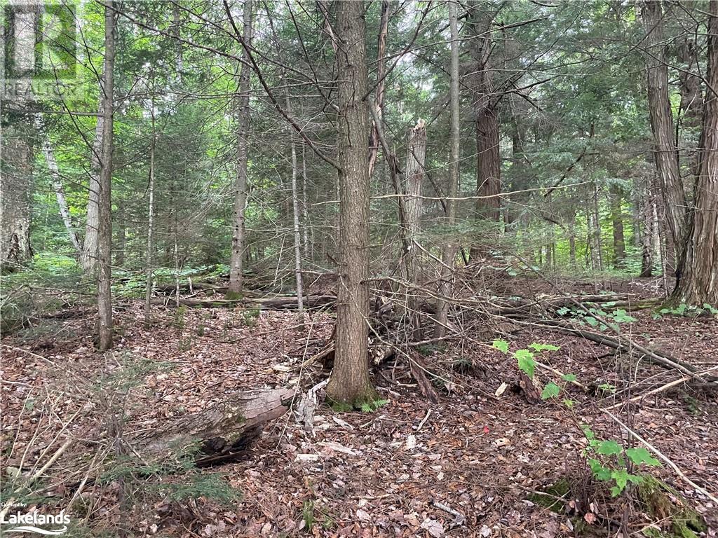 For sale 0 ISLAND LAKE, Kearney, Ontario P0A1M0 40588117 REALTOR.ca